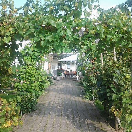 Ferienweingut Arnold Thiesen Apartment Брутиг-Фанкел Екстериор снимка
