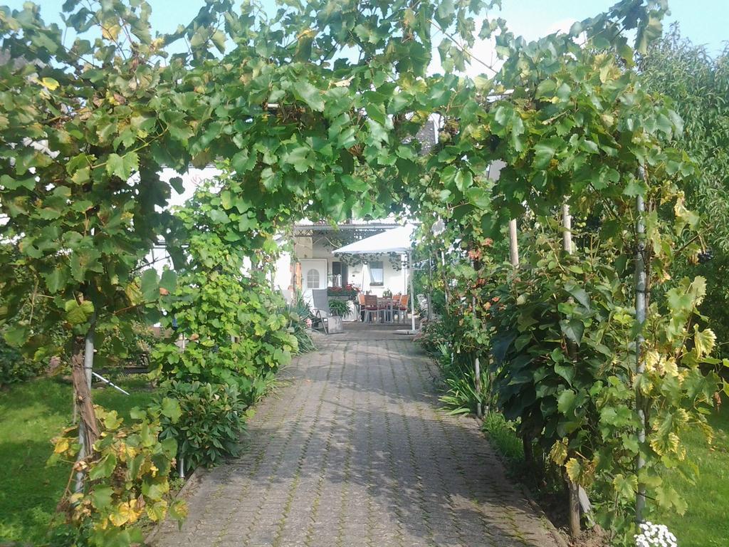 Ferienweingut Arnold Thiesen Apartment Брутиг-Фанкел Екстериор снимка